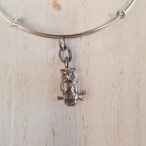 Alex and Ani Shiny Silver Owl Bracelet